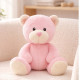 Pink Twins Nappy Cake