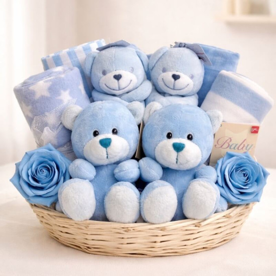 Blue Twins Gift Basket