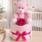 Mini Nappy Cake Pink Ted