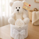 Mini Nappy Cake White Ted Mini Nappy Cake White Ted