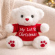 My 1st Christmas Bear