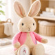 Flopsy Girls Nappy Cake Flopsy Girls Nappy Cake