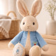 Peter Rabbit Nappy Cake