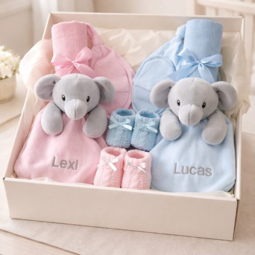 Twin Boy Girl Hamper