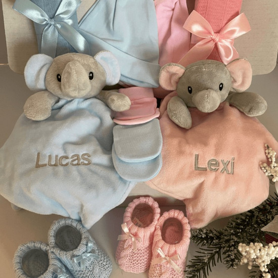 Twin Boy Girl Hamper Twin Boy Girl Hamper