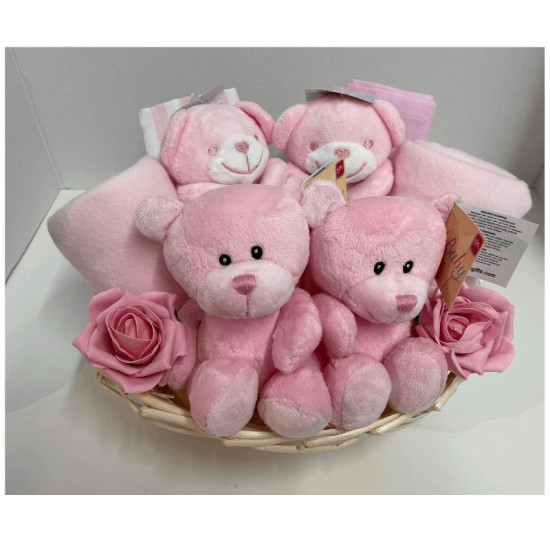 Pink Twins Gift Basket