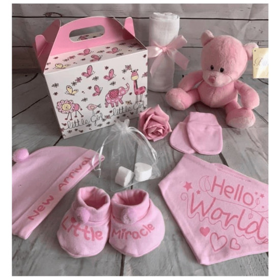 Hello World Pink hamper