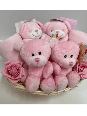 Pink Twins Gift Basket