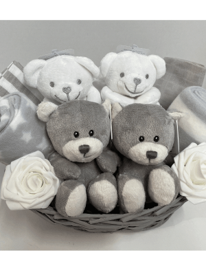 Baby Gifts Shop Twins Hamper