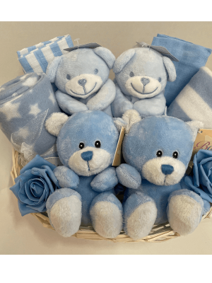 Blue Twins Gift Basket