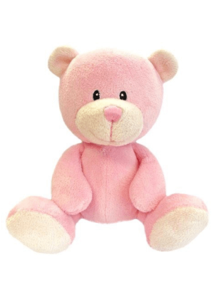 Babies 1st Pink Bear