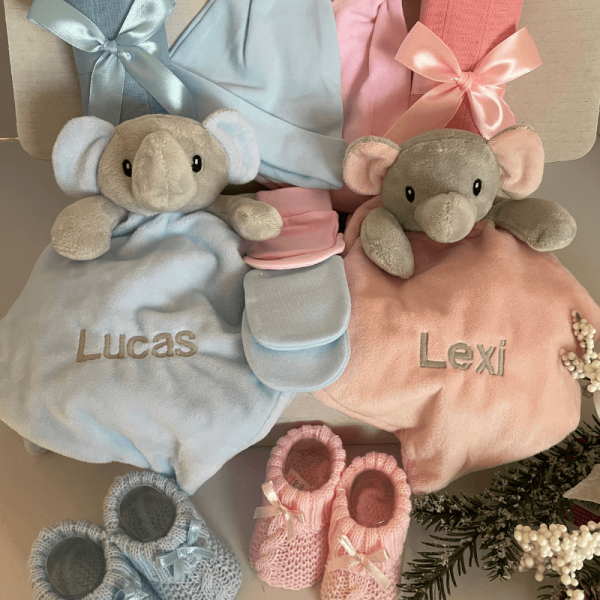 Twin Boy Girl Hamper